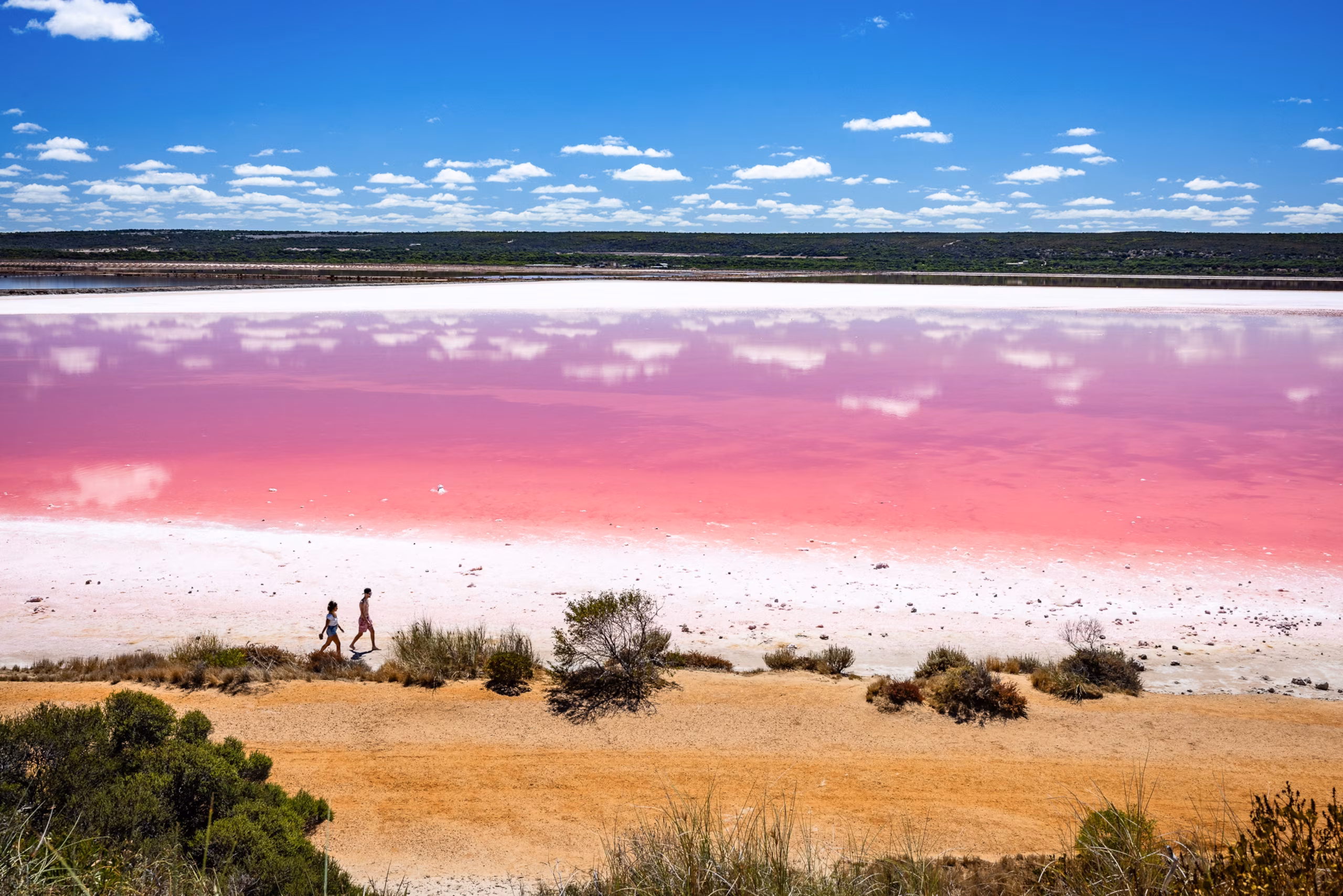 Pink Lake - Hutt Lagoon